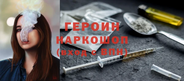 стаф Тайга