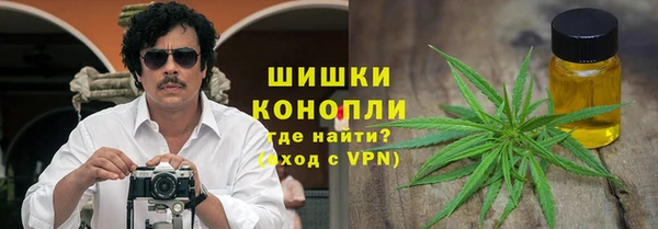 дмт Вяземский