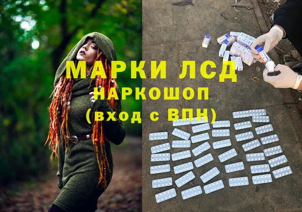 дмт Вяземский